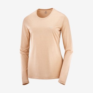 Camiseta Salomon AGILE Mujer Beige | EC3065CTV