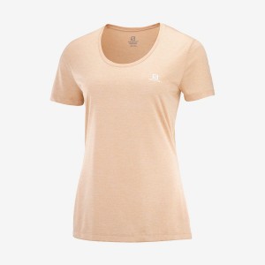 Camiseta Salomon AGILE Mujer Beige | EC3070QMA