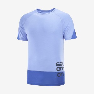 Camiseta Salomon CROSS RUN GRAPHIC Hombre Azules | EC2399YXF