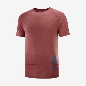 Camiseta Salomon CROSS RUN GRAPHIC Hombre Rojas | EC2400UZG