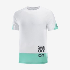 Camiseta Salomon CROSS RUN GRAPHIC Hombre Blancas | EC2402OKI