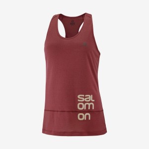 Camiseta Salomon CROSS RUN GRAPHIC Mujer Rojas | EC3057FDN