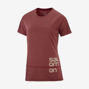 Camiseta Salomon CROSS RUN GRAPHIC Mujer Rojas | EC3078OKI