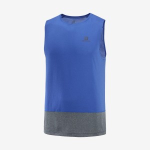 Camiseta Salomon CROSS RUN Hombre Azules | EC2393MQZ