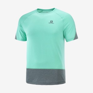 Camiseta Salomon CROSS RUN Hombre Verde Menta | EC2398TCE