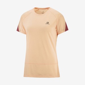 Camiseta Salomon CROSS RUN Mujer Beige | EC3081AHK