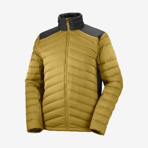 Chompas Salomon ESSENTIAL XWARM DOWN INSULATED Hombre Amarillo | EC2317XYU