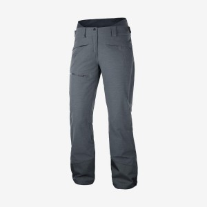 Pantalon Esquí Salomon PROOF LIGHT Mujer Gris | EC3290SGL