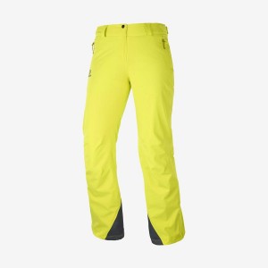 Pantalon Esquí Salomon THE BRILLIANT Mujer Verde | EC3309DFM