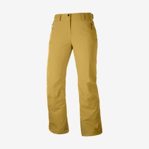 Pantalon Esquí Salomon THE BRILLIANT Mujer Marrones | EC3311GSO