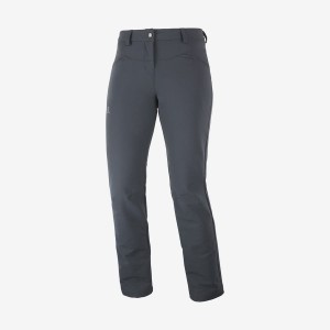 Pantalon Salomon WAYFARER STRAIGHT WARM Mujer Gris | EC3231YXF