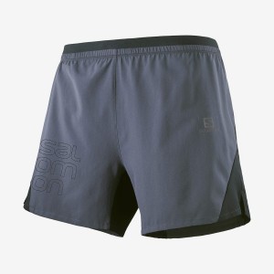 Short Salomon CROSS 5'' Hombre Gris | EC2459DFM