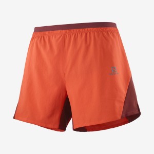 Short Salomon CROSS 5'' Hombre Naranjas | EC2456AHK