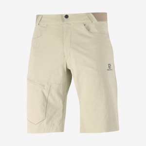 Short Salomon WAYFARER Hombre Beige | EC2478FDN