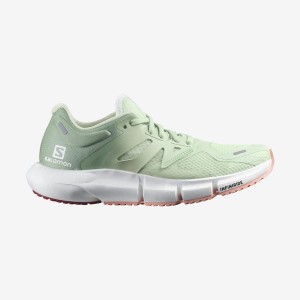 Zapatillas Running Salomon PREDICT 2 Mujer Verde | EC2910VRW