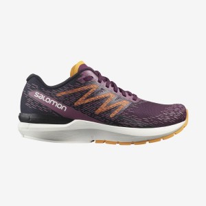 Zapatillas Running Salomon SONIC 5 BALANCE Mujer Rojas | EC2912NWY