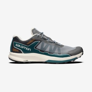 Zapatillas Salomon ULTRA RAID Hombre Gris Plateadas | EC2222VRW