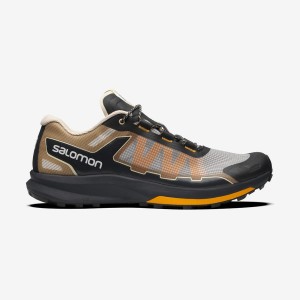 Zapatillas Salomon ULTRA RAID Hombre Marrones Plateadas | EC2220XYU