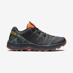 Zapatillas Salomon XA PRO 1 Hombre Gris | EC2205BEX