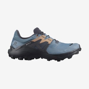 Zapatillas Trail Running Salomon WILDCROSS 2 GORE-TEX Mujer Azules | EC2856XYU