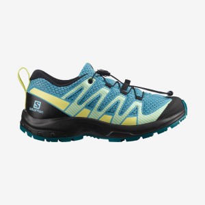 Zapatillas Trail Running Salomon XA PRO V8 Niños Azules | EC3594TCE