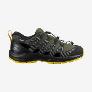 Zapatillas Trail Running Salomon XA PRO V8 CLIMASALOMON™ WATERPROOF Niños Verde Oliva | EC3603DFM