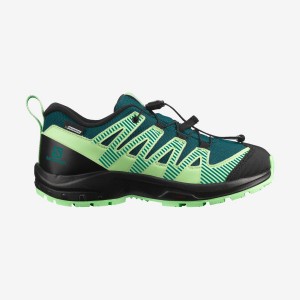 Zapatillas Trail Running Salomon XA PRO V8 CLIMASALOMON™ WATERPROOF Niños Verde | EC3604FDN