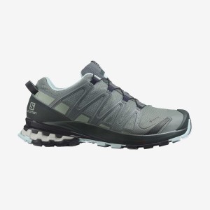 Zapatillas Trail Running Salomon XA PRO 3D v8 GORE-TEX Mujer Gris | EC2860NWY