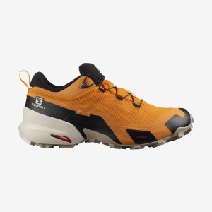 Zapatillas de Senderismo Salomon CROSS HIKE GORE-TEX Hombre Naranjas | EC2018YXF