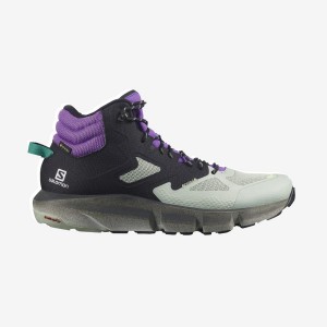 Zapatillas de Senderismo Salomon PREDICT HIKE MID GORE-TEX Hombre Verde Menta Moradas | EC2079CTV