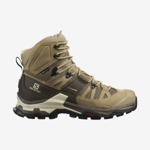 Zapatillas de Senderismo Salomon QUEST 4 GORE-TEX Hombre Marrones | EC2061CTV