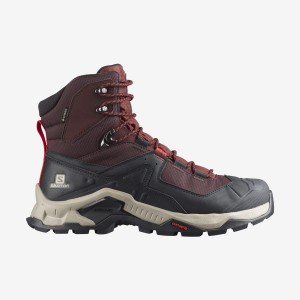 Zapatillas de Senderismo Salomon QUEST ELEMENT GORE-TEX Hombre Gris Rojas | EC2077ZUT