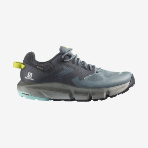 Zapatillas de Senderismo Salomon WoPREDICT HIKE GORE-TEX Mujer Plateadas | EC2836MQZ