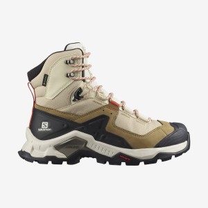 Zapatillas de Senderismo Salomon WoQUEST ELEMENT GORE-TEX Mujer Marrones | EC2842FDN