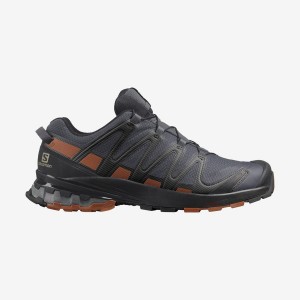 Zapatillas de Senderismo Salomon XA PRO 3D v8 GORE-TEX Hombre Gris | EC2038MQZ