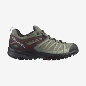 Zapatillas de Senderismo Salomon X CREST GORE-TEX Hombre Verde Oliva | EC2008CTV