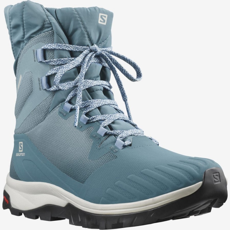 Botas de Invierno Salomon VAYA POWDER TS CSWP Mujer Azules | EC3014VRW