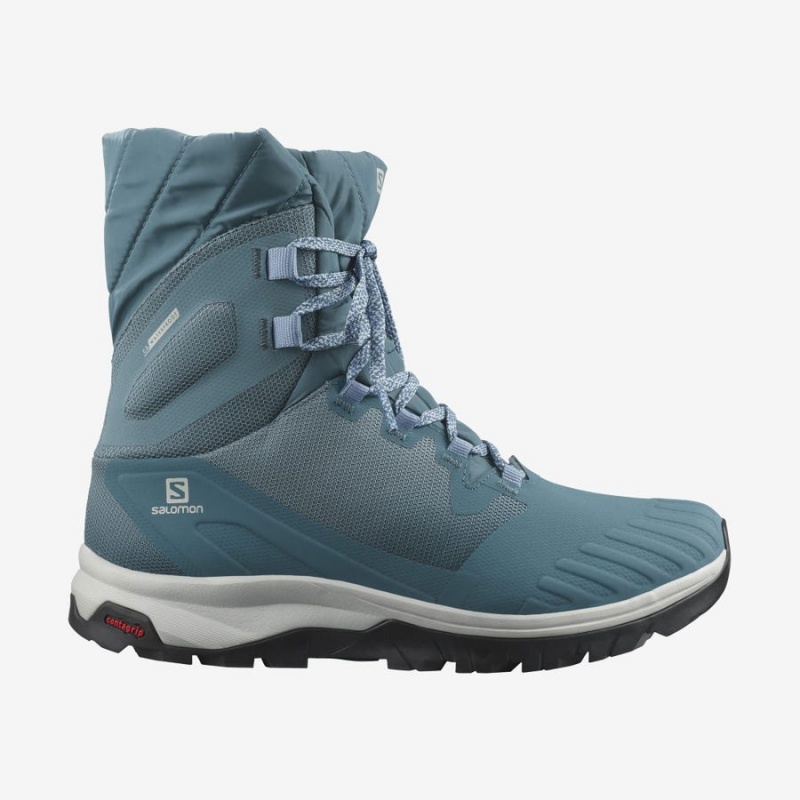 Botas de Invierno Salomon VAYA POWDER TS CSWP Mujer Azules | EC3014VRW