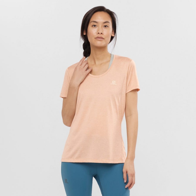 Camiseta Salomon AGILE Mujer Beige | EC3070QMA