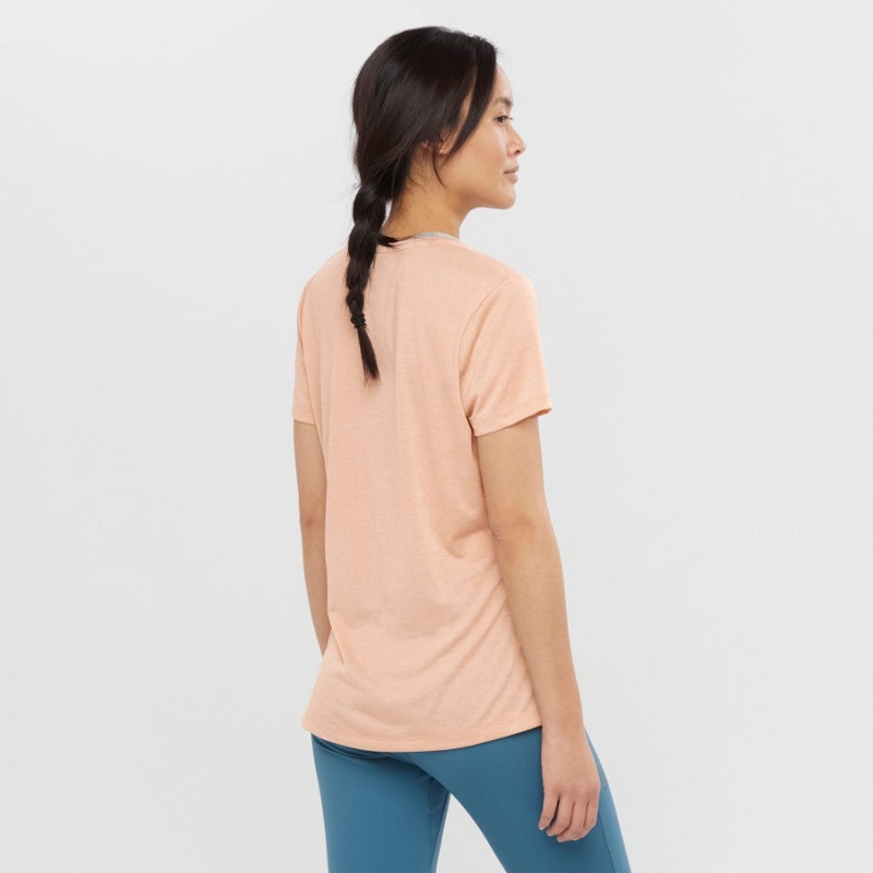 Camiseta Salomon AGILE Mujer Beige | EC3070QMA