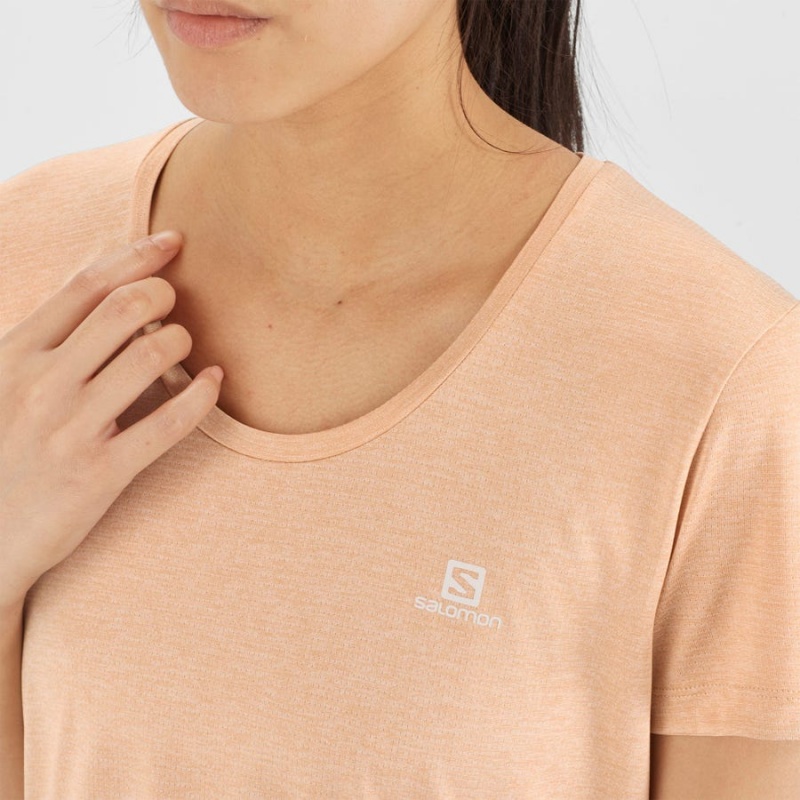 Camiseta Salomon AGILE Mujer Beige | EC3070QMA