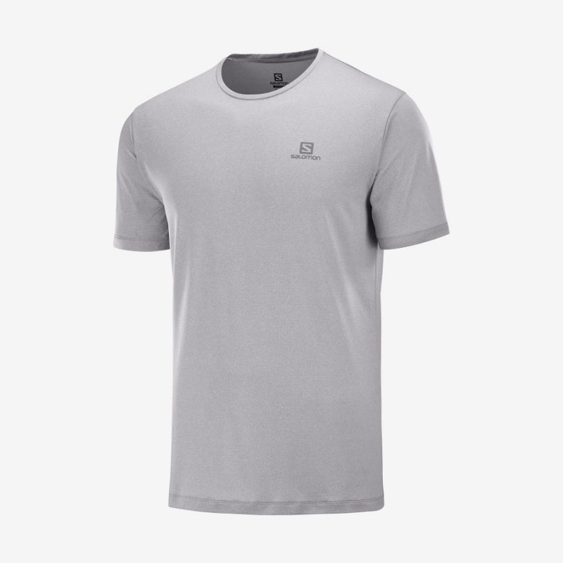 Camiseta Salomon AGILE TRAINING Hombre Blancas | EC2379SGL