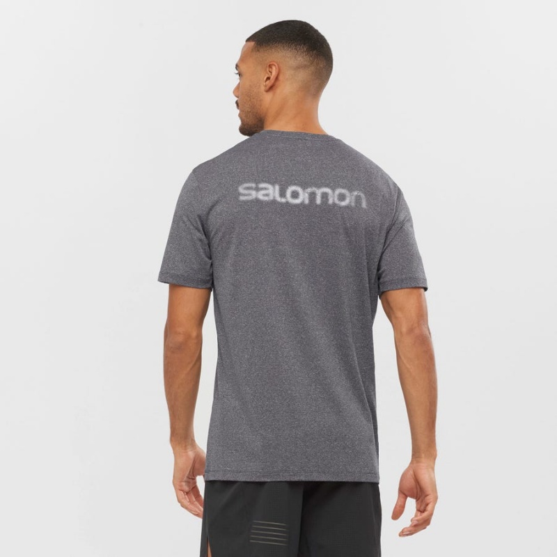 Camiseta Salomon AGILE TRAINING Hombre Gris | EC2381FDN