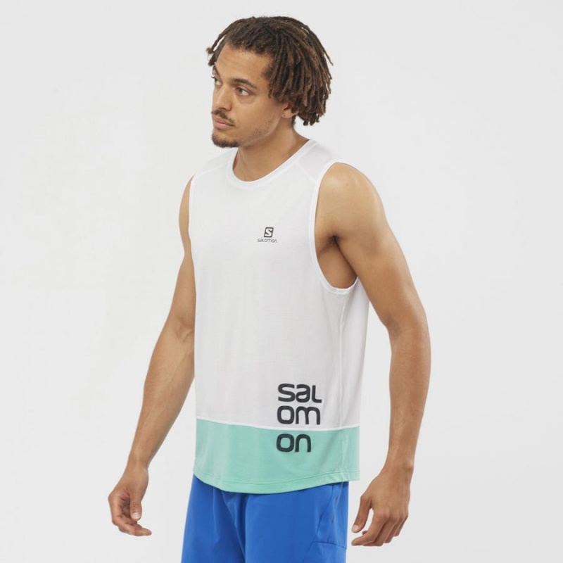 Camiseta Salomon CROSS RUN GRAPHIC Hombre Blancas | EC2390VRW