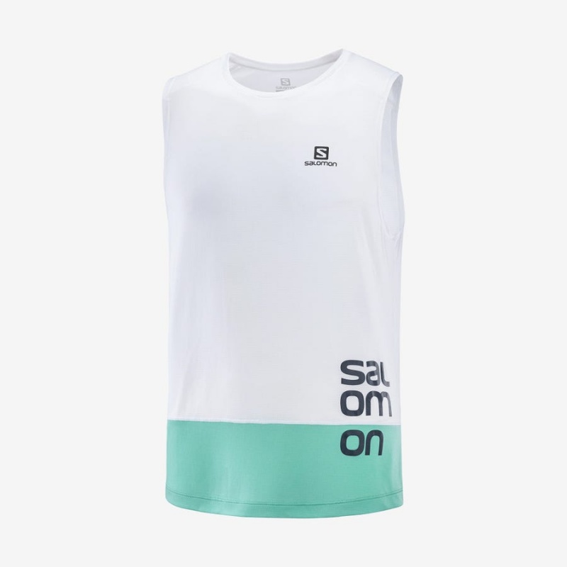 Camiseta Salomon CROSS RUN GRAPHIC Hombre Blancas | EC2390VRW