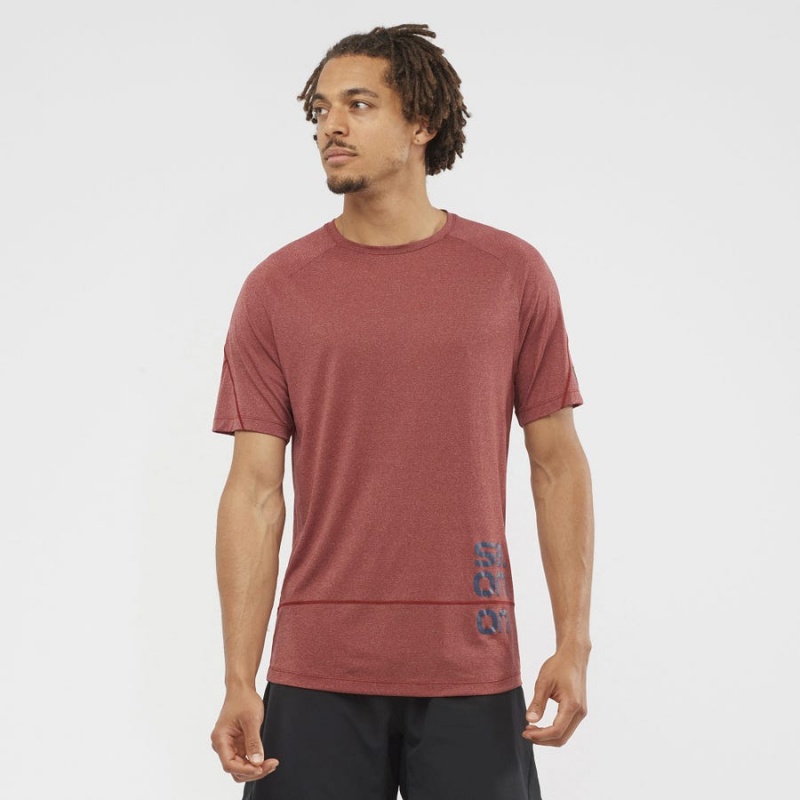 Camiseta Salomon CROSS RUN GRAPHIC Hombre Rojas | EC2400UZG