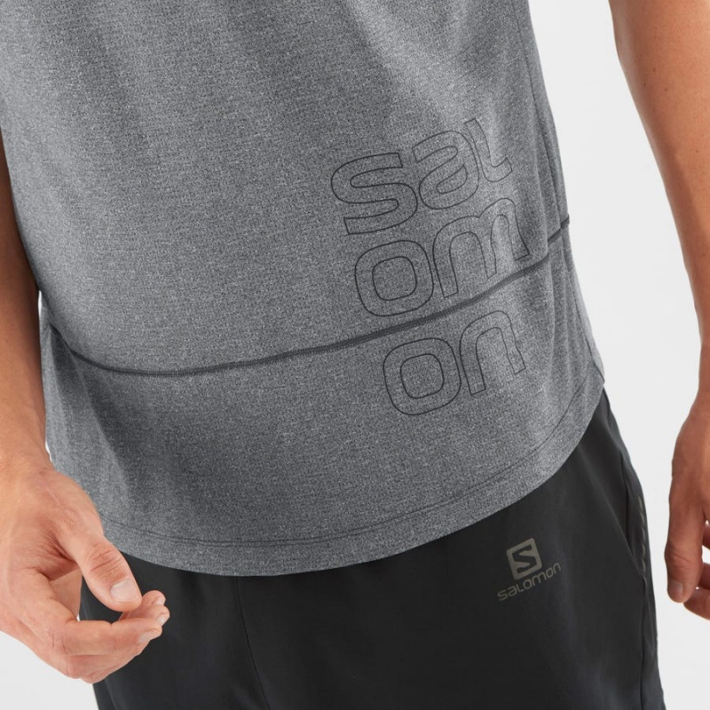 Camiseta Salomon CROSS RUN GRAPHIC Hombre Gris | EC2401ILH