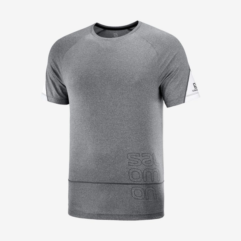 Camiseta Salomon CROSS RUN GRAPHIC Hombre Gris | EC2401ILH