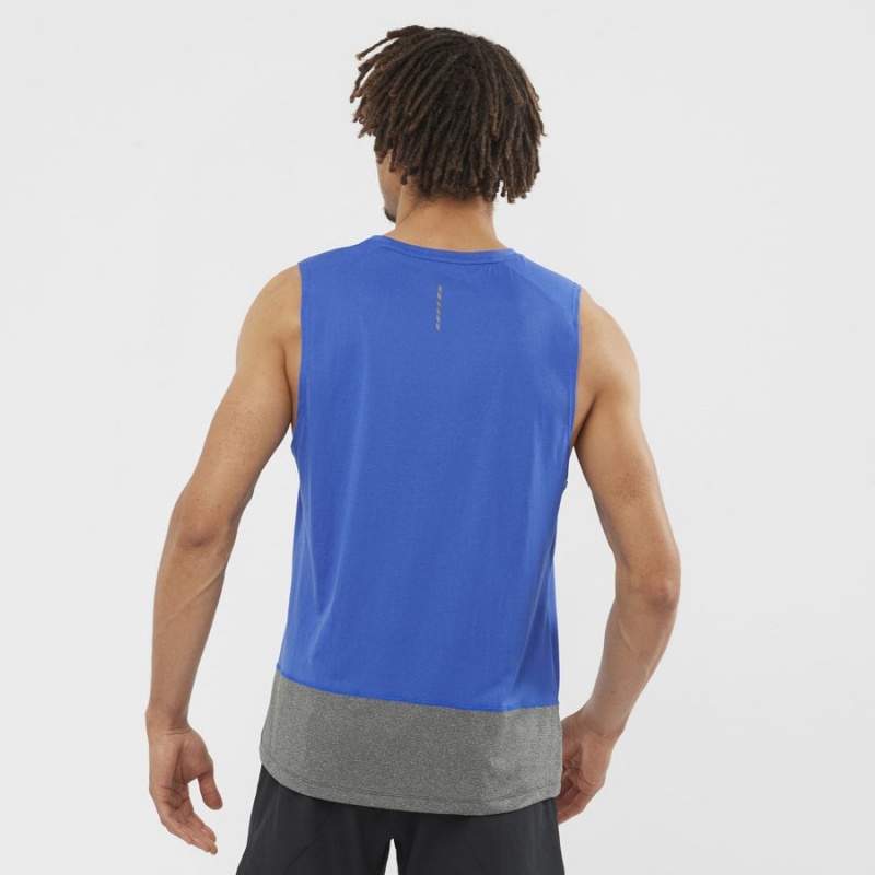 Camiseta Salomon CROSS RUN Hombre Azules | EC2393MQZ