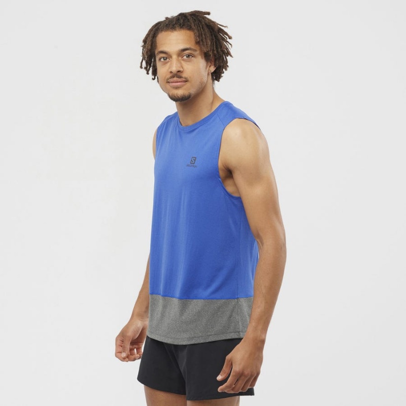 Camiseta Salomon CROSS RUN Hombre Azules | EC2393MQZ